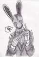 The Bunny man 
