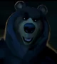 Vincent the Bear