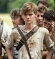 Newt - Maze Runner 