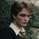 Cedric Digory 