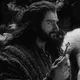 H - Thorin