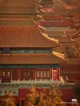 The Forbidden City