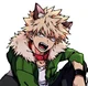 Katsuki Bakugou 