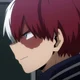 Shoto Todoroki 