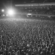 Crowd