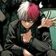 Shoto Todoroki