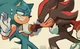 Shadow sonic fr 