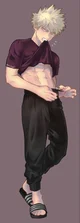 Katsuki Bakugo 