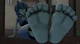 Feet dere Lapis