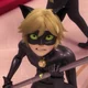 Cat noir