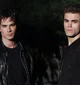 The Salvatores