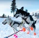Sled Dog Race RP