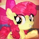 Apple Bloom