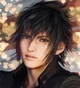 Noctis Lucis Caelum