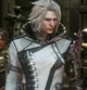 Ravus Nox Fleuret