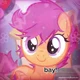 Scootaloo