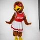 Roxy the hawk mascot