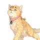 Cat - Giorno