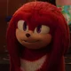 S Knuckles T Echidna