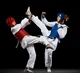 Taekwondo