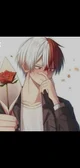 Shoto Todoroki