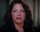 Callie Torres