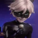 chat noir