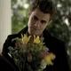 01  Stefan Salvatore
