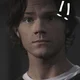 sammy