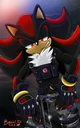 Shadow the hedgehog