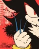 Shadow The Hedgehog