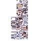 MissingNo
