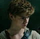 Newt 
