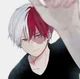 Shoto Todoroki 