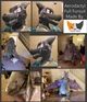 Aerodactyl Fullsuit
