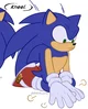 Sonic the Hegdehog