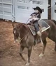 Child horse rider