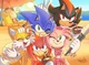 Team Sonic x karen