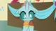 Ocellus
