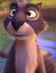 Surly squirrel