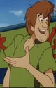 Shaggy Roggers 
