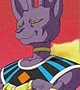 Lord Beerus 