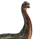 Brontosaurus