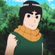 Rock Lee Pt Br