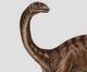 Apatosaurus