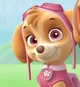 Skye PAW Patrol