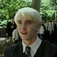 Draco M