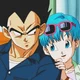 Bulma and Vegeta