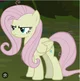 Mean Fluttershy