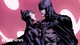 Bruce and Selina